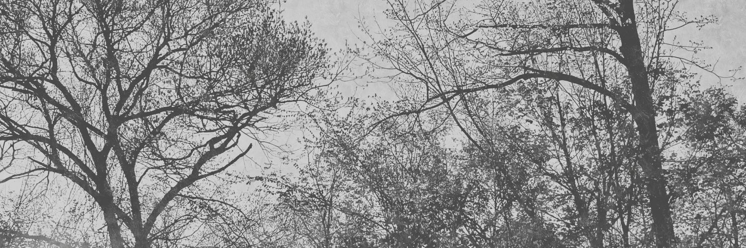 SourSurge's profile banner image