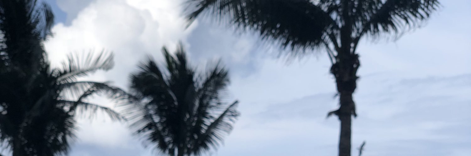 jaelteme's profile banner image