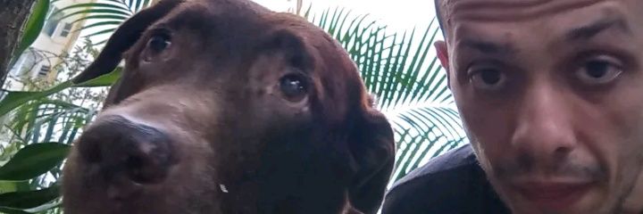 dudasilvervale's profile banner image