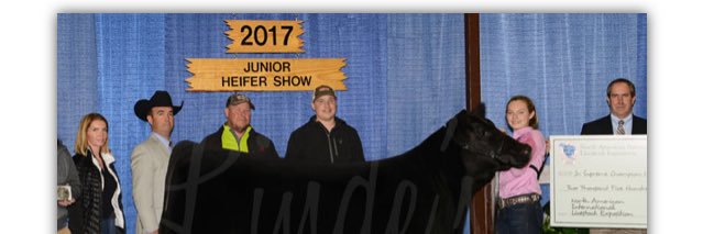 jtr_reck's profile banner image