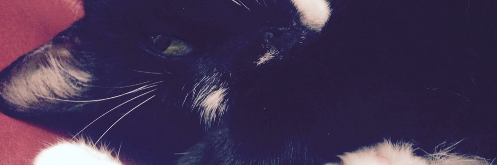 Laura_reyes211's profile banner image