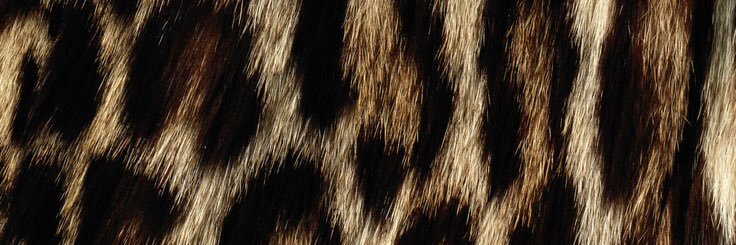 JordannColleen's profile banner image