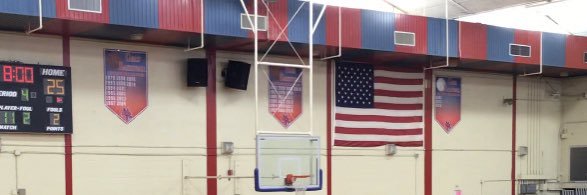Wolfson Basketball banner