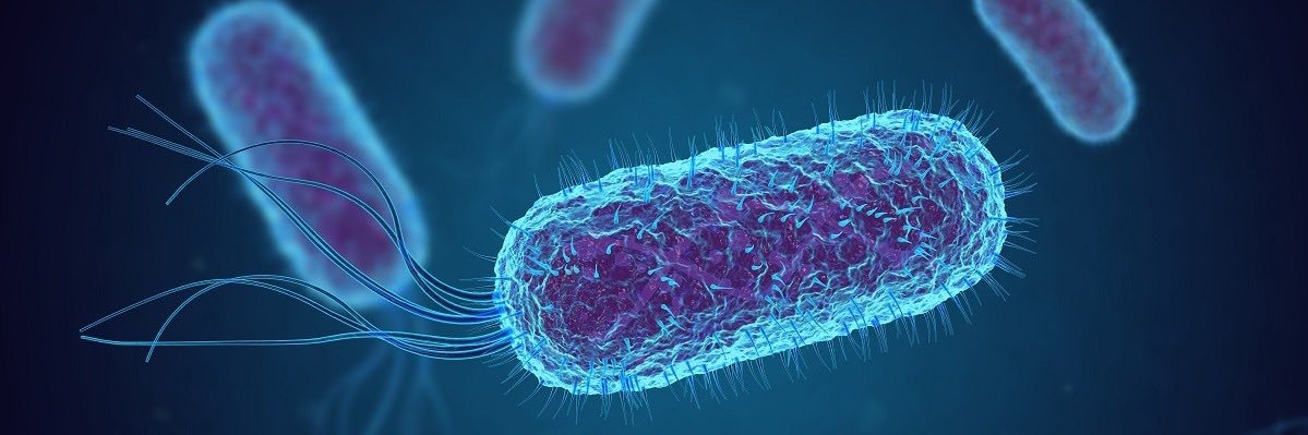 Allyson Shea 🔬 banner