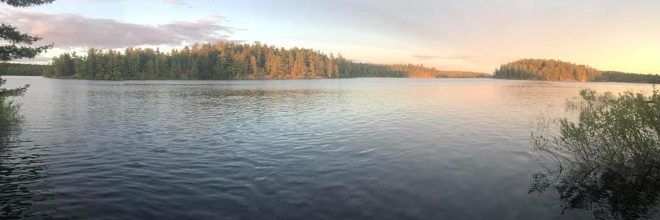 Jared Clarkson banner