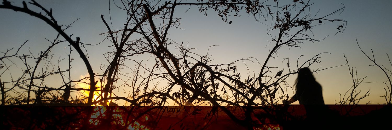 feiksrk's profile banner image