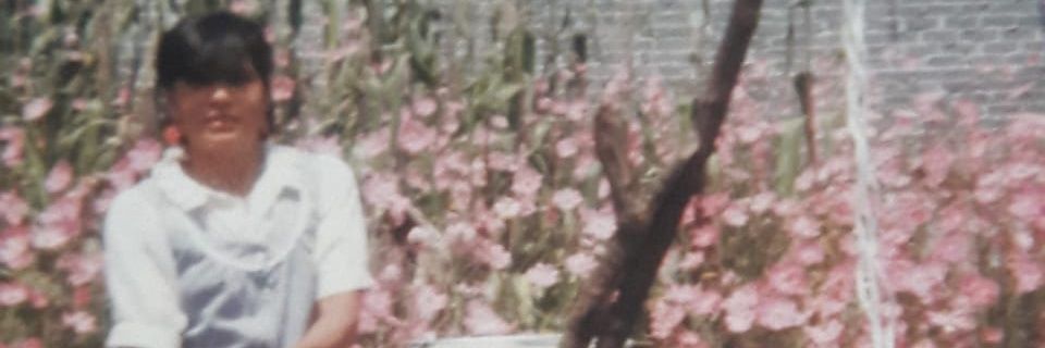 José Rey GL banner