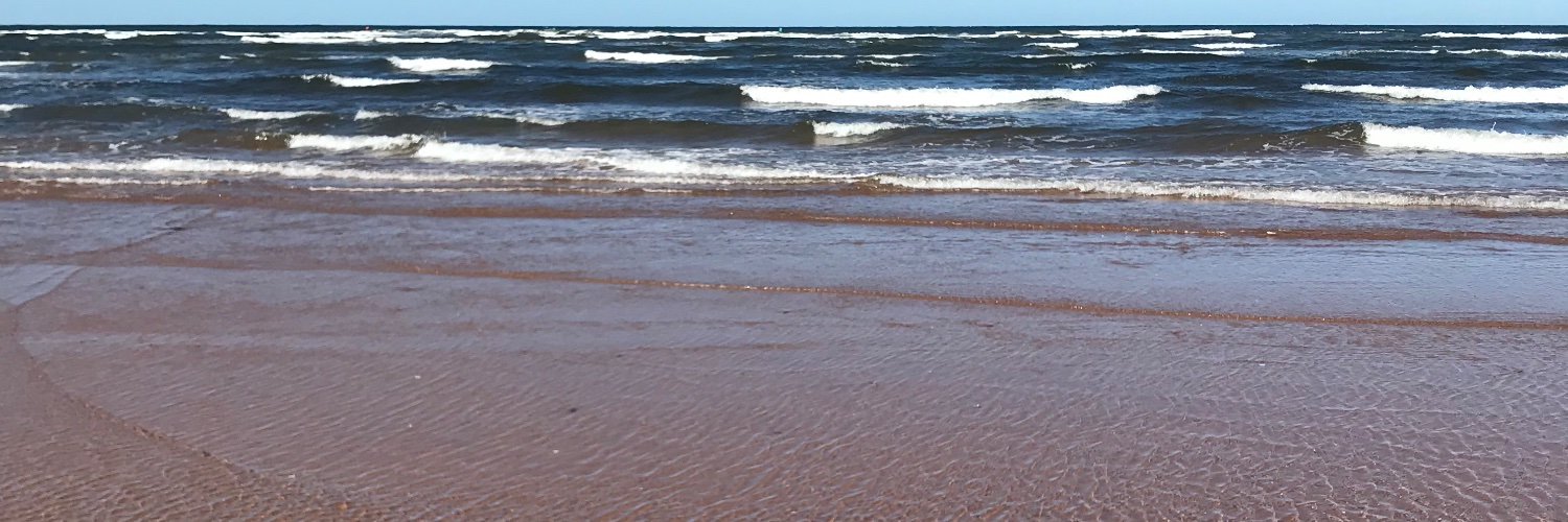 Denise Steele banner