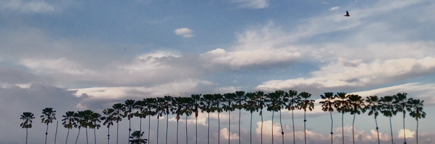 danielaabrahamm's profile banner image