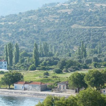 ignatiosman's profile banner image