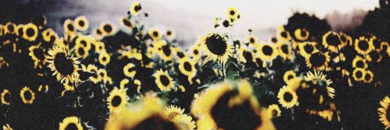 _jenitrindade's profile banner image