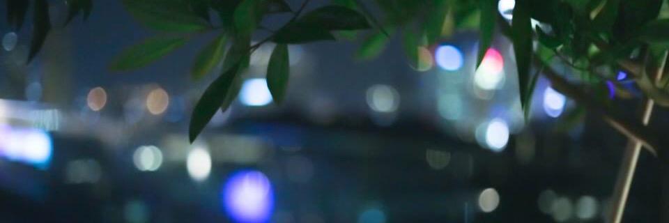 camerongade's profile banner image