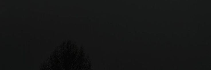 purplejvade's profile banner image