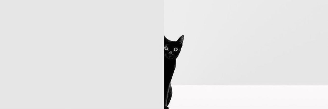 thelott_o's profile banner image