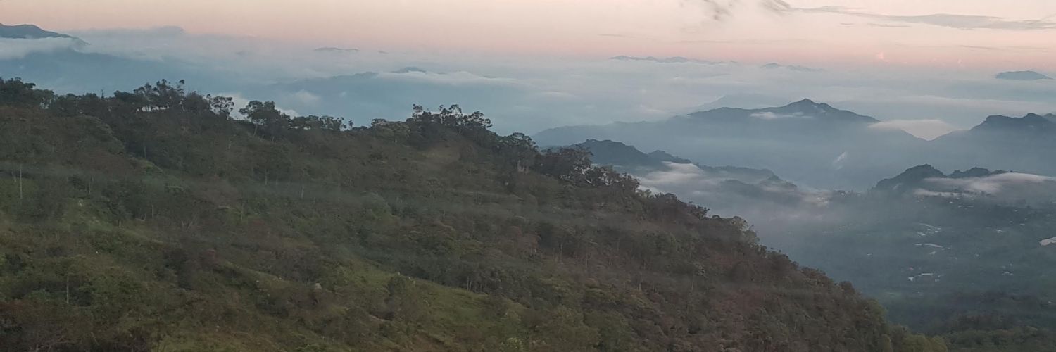 avefeni's profile banner image