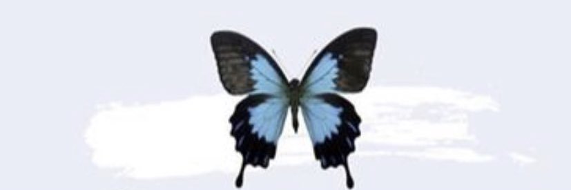 GenesisDelizz's profile banner image