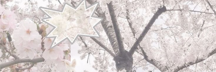 welcy_ss's profile banner image