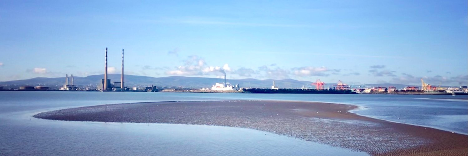 Antoinette Reilly banner