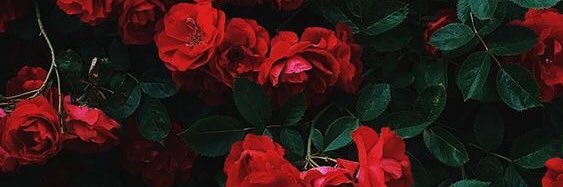 001016WB's profile banner image