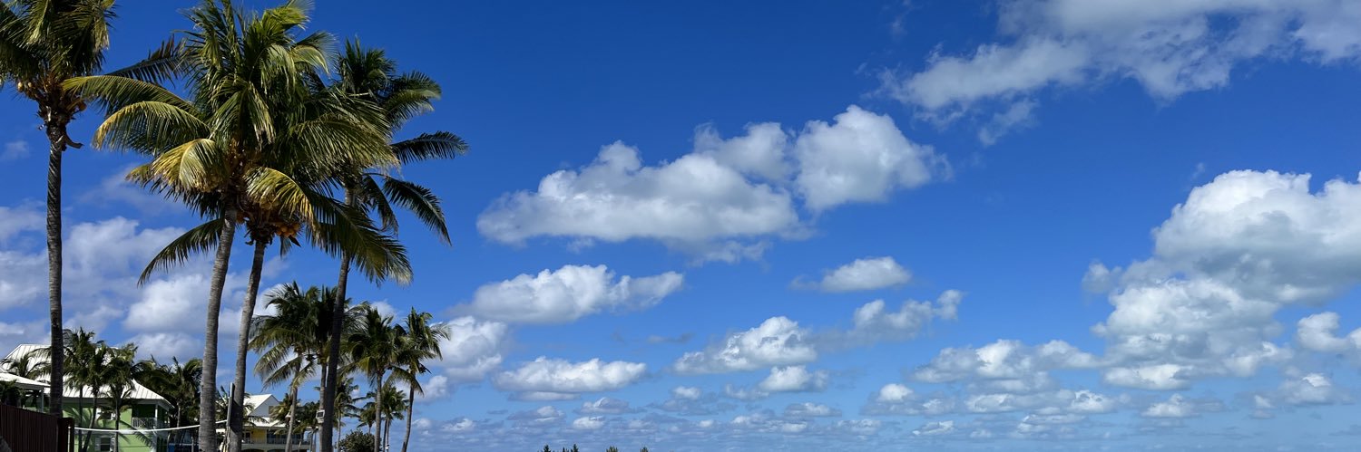 lynneschaef's profile banner image