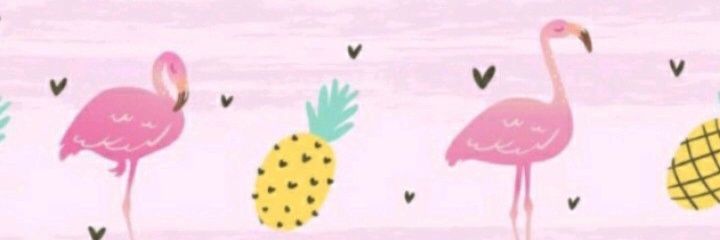 jeje banner