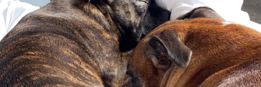 Millie_Pistor's profile banner image