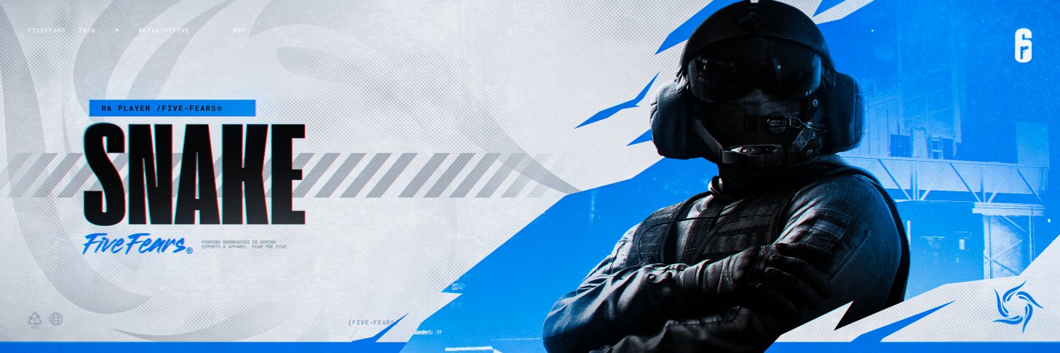 Snake banner
