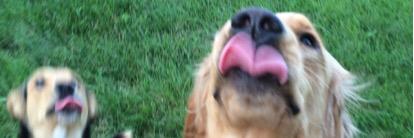 ForthTaylor's profile banner image