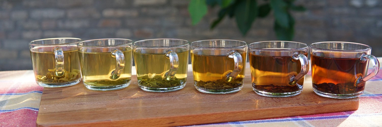 greenTeaOptimus's profile banner image
