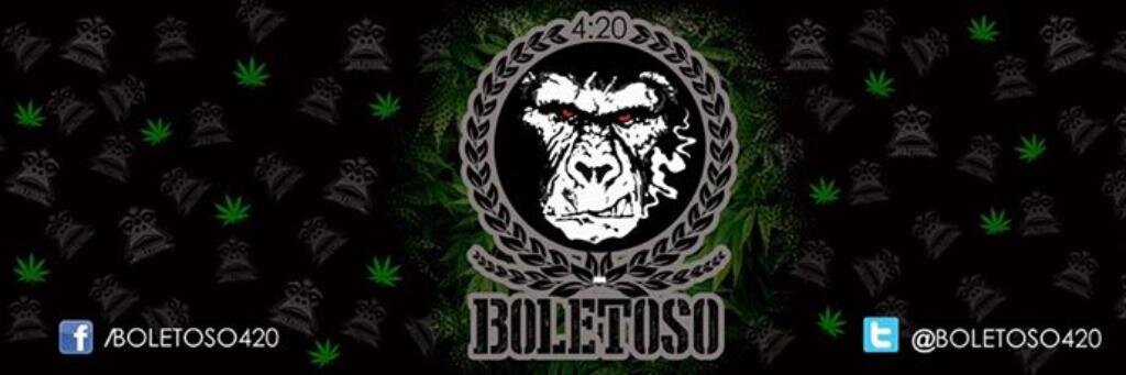 boletoso420's profile banner image