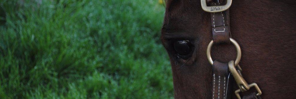 _KellyDubs's profile banner image