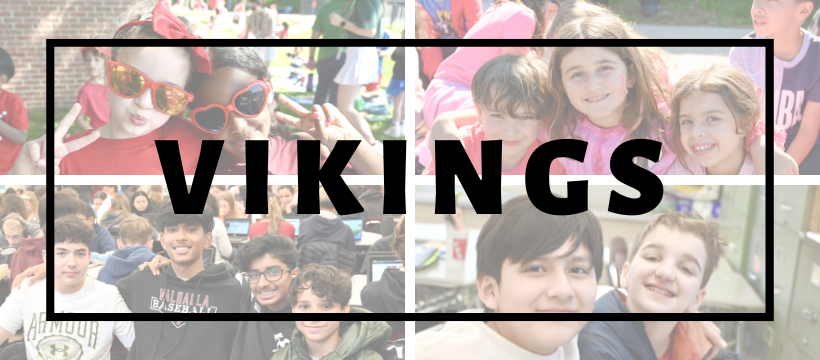 Valhalla Vikings banner