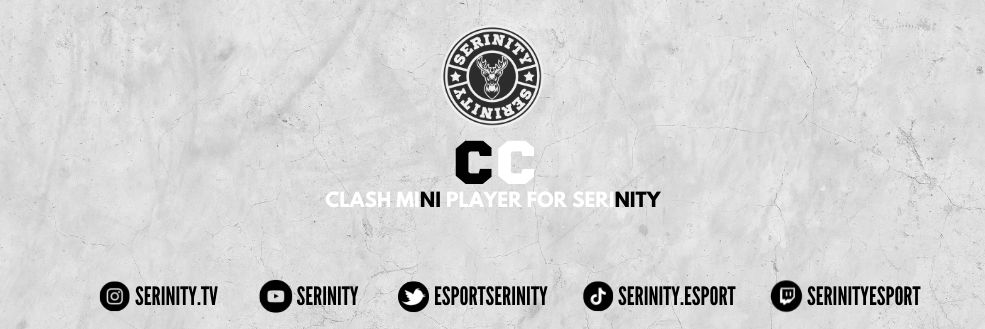 CC👑 banner