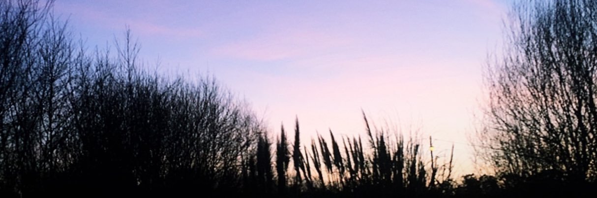 MartaTacon18's profile banner image