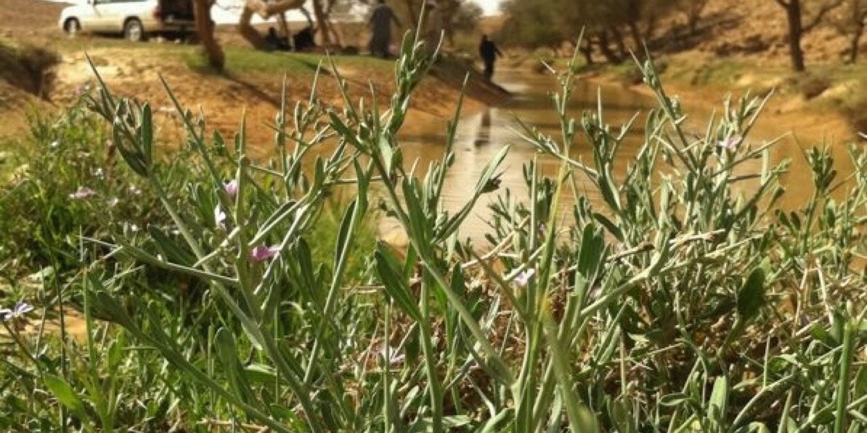 aliabdulkreem's profile banner image