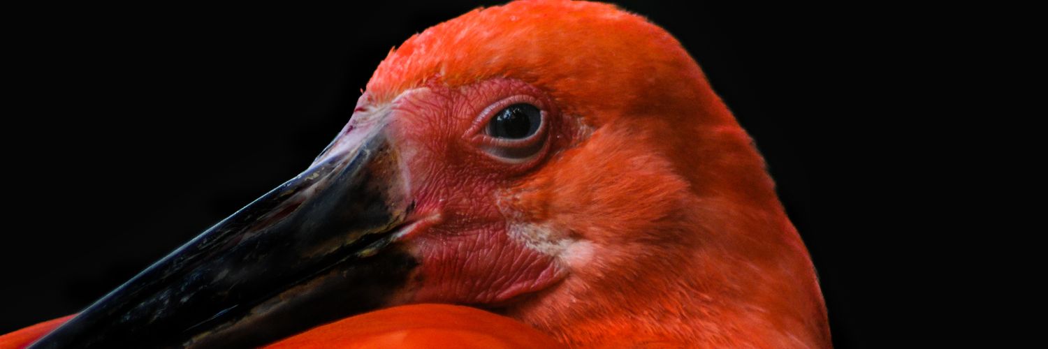 azmeerdaly's profile banner image