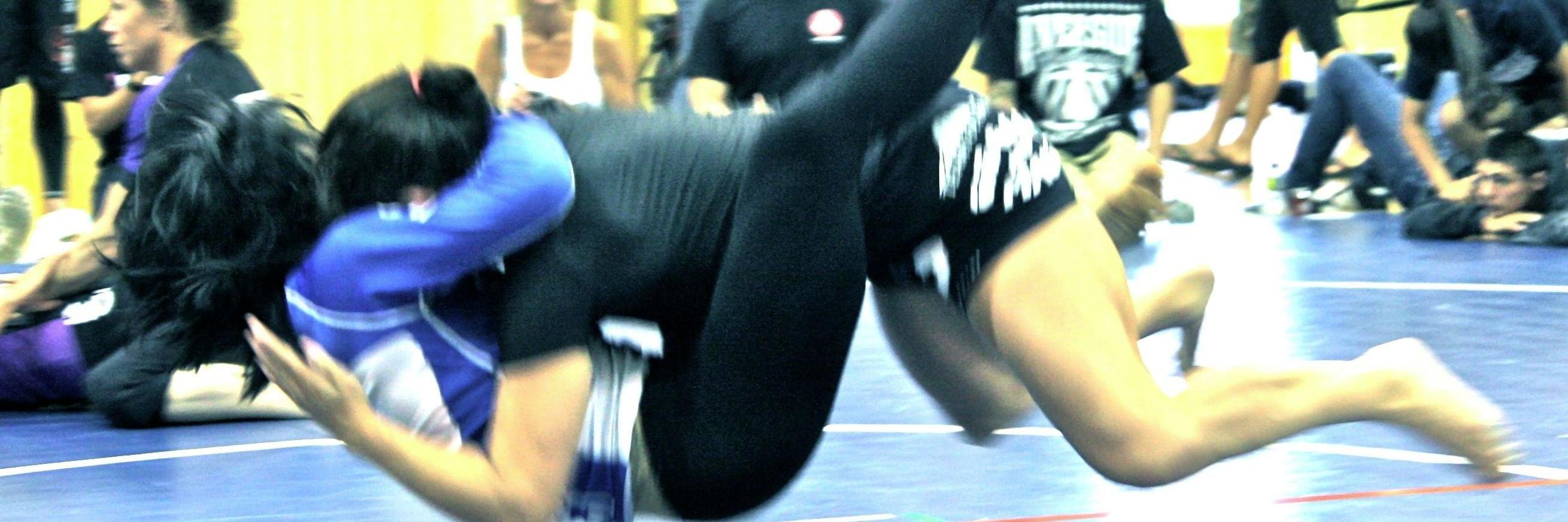 SubFighter BJJ banner