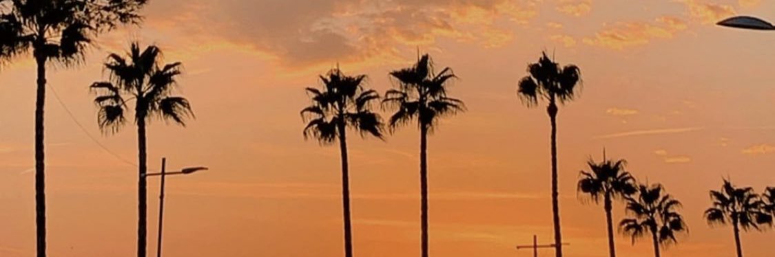 MarcoMkm's profile banner image