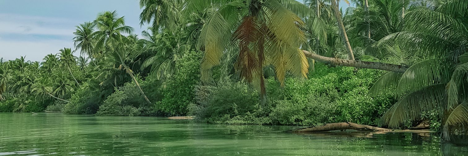 ibrahim_ifaax's profile banner image