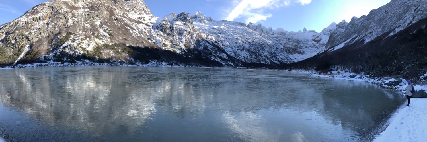 Lu 🔬🐈‍⬛🐈 banner