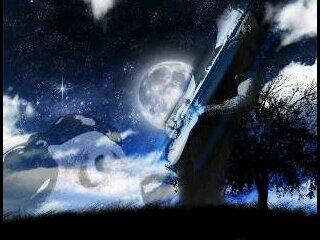 TrianaRyan's profile banner image