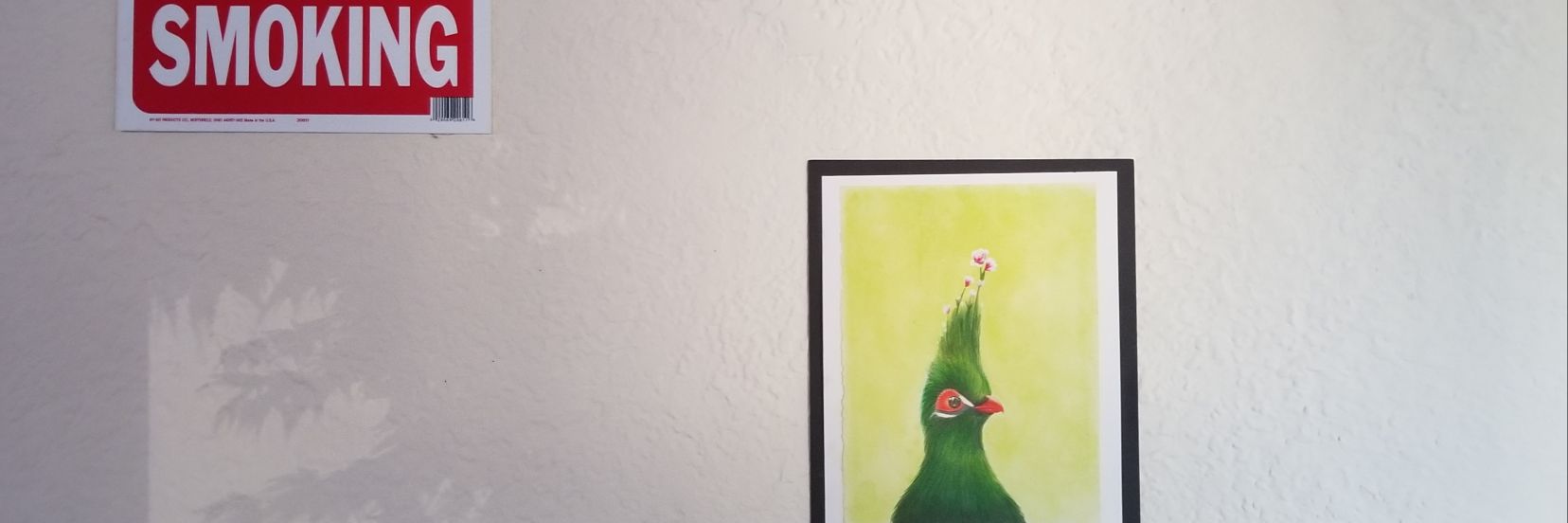 coupdechris's profile banner image