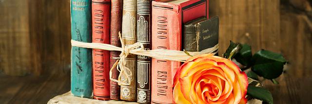 MissLecturas's profile banner image