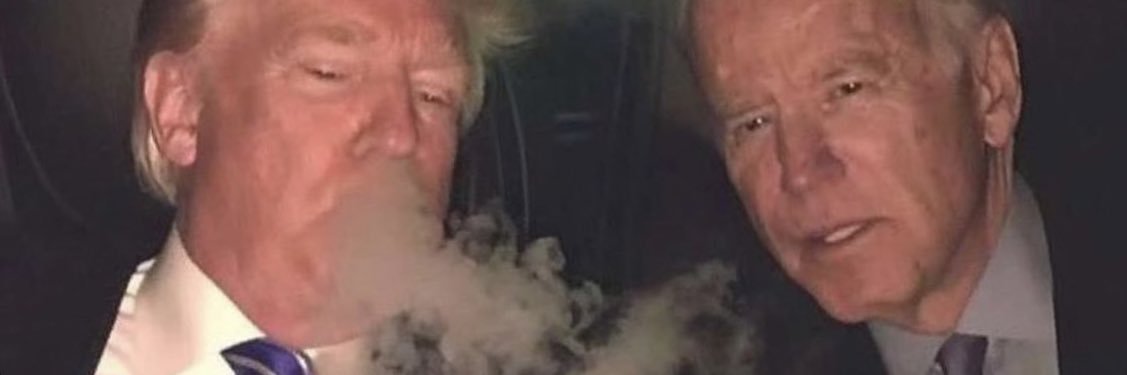 Malformed Zoomer banner