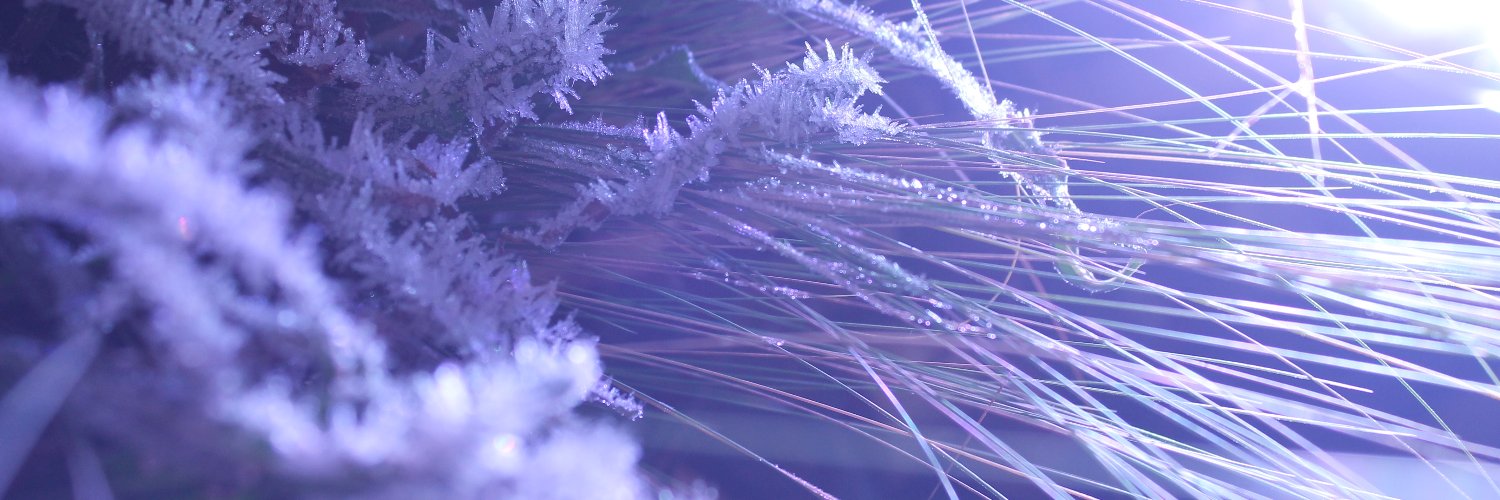 Roguetainment's profile banner image