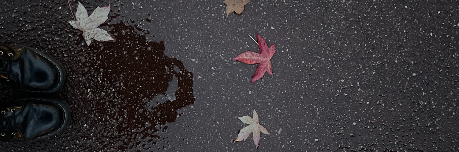 sonastaer's profile banner image
