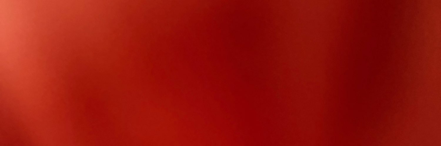 lego_rick_ banner