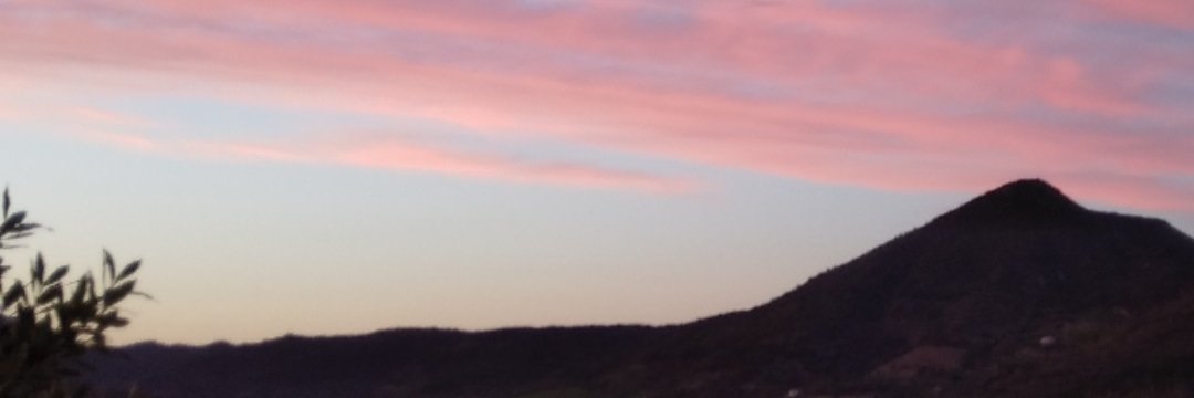 claudiacuboni banner