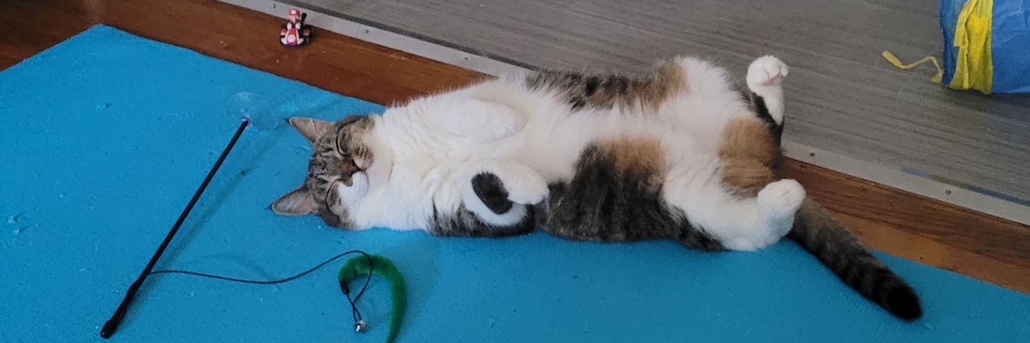 SarahBoudreauChem banner