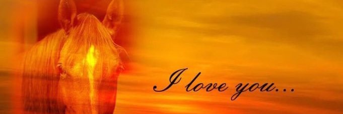 eduardo (en su BoJack era) banner